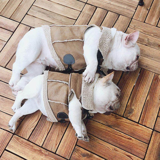 Faux Leather Frenchie Jacket for Dogs French Bulldog Pet Supplies LeFrenchieFlair CJD