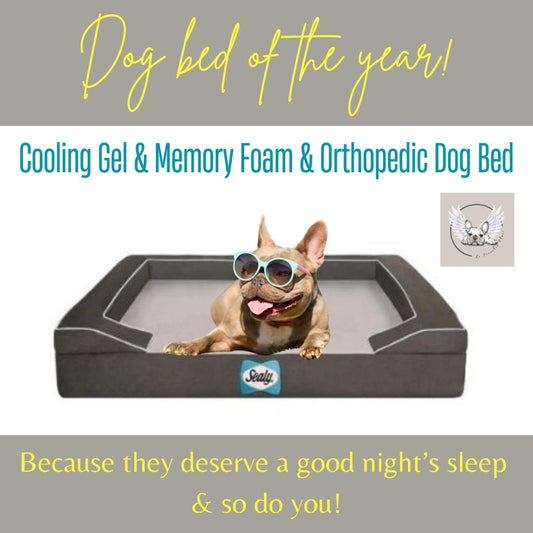 Sealy Orthopedic Memory Foam Dog Bed French Bulldog Pet Supplies Sold by LeFrenchieFlair - Fulfilled by Canine & Co