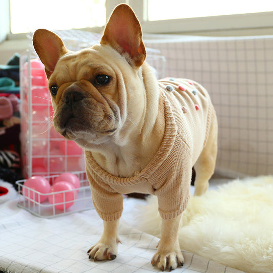 Comfy Knitted Frenchie Jersey for Dogs Bulldog Pet Supplies LeFrenchieFlair CJD