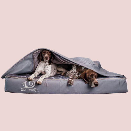 Comfy Caves Rectangular Dog Bed French Bulldog Pet Supplies - Le Frenchie Flair