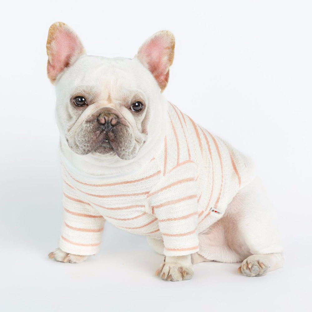 French Bulldog Pet Clothes - Le Frenchie Flair