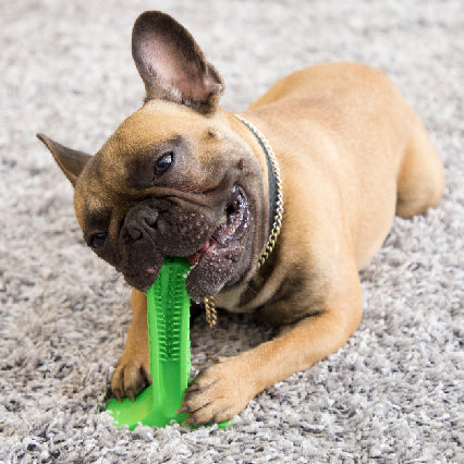 Dog Toothbrush Non-toxic Soft and Safe - Le Frenchie Flair