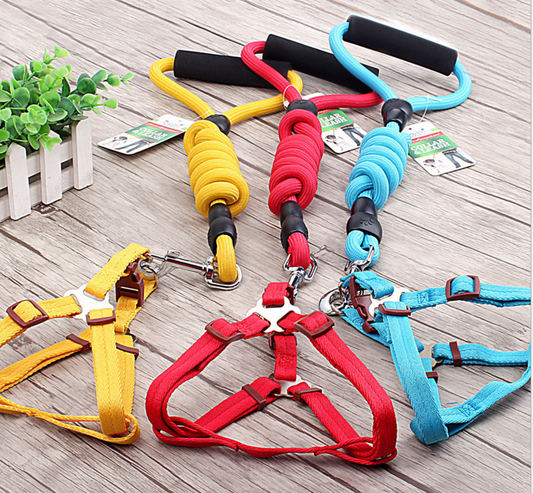 Dog Harness, Collar and Rope Lead with comfortable grip - Le Frenchie Flair
