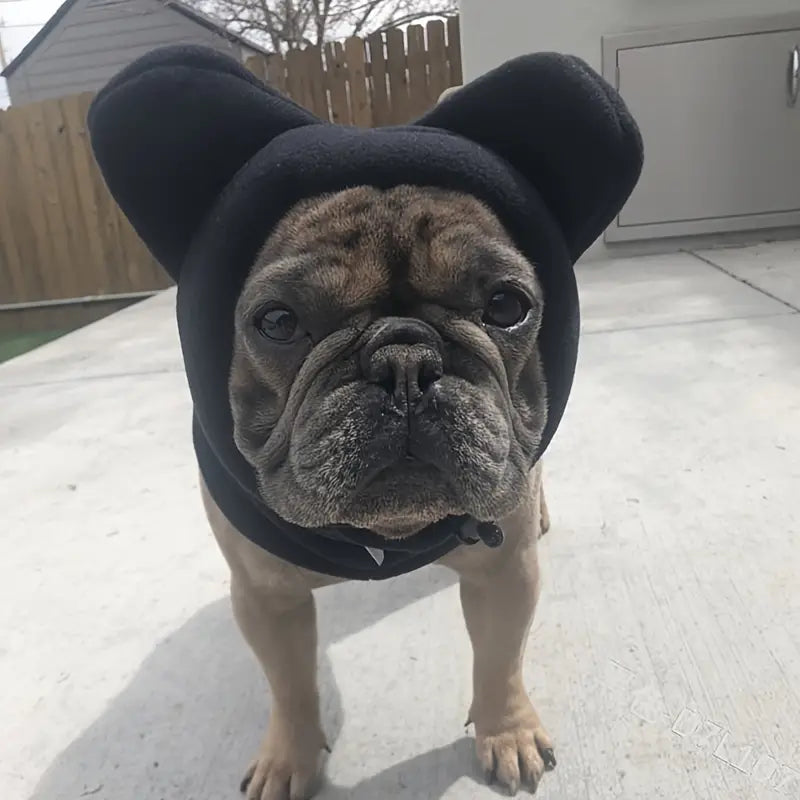 Frenchie's Fleece Bat Hat Soft Warm Adjustable Winter Hats French Bulldog Pet Supplies Le Frenchie Flair TU