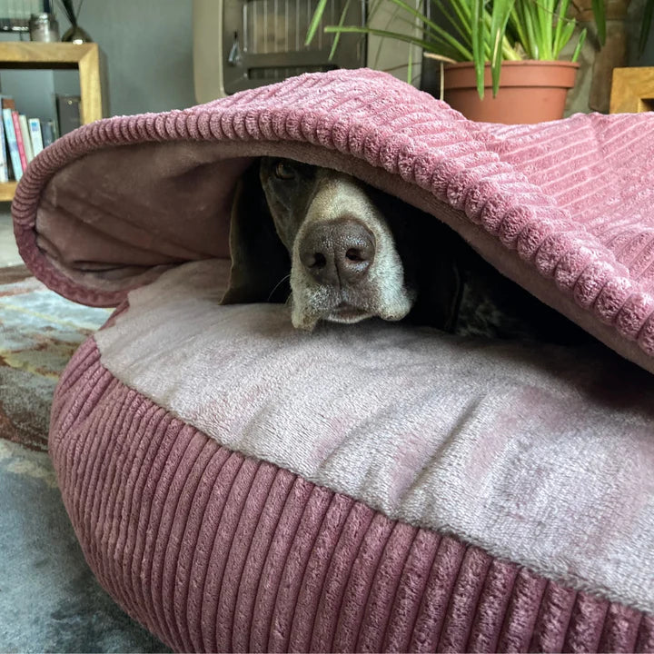 Cozy Caves Luxury Dog Bed - Le Frenchie Flair