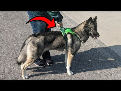 No-pull Adjustable Soft Dog Harness Retractable Leash French Bulldog Pet Supplies